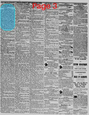 Page thumbnail for The Daily Phoenix