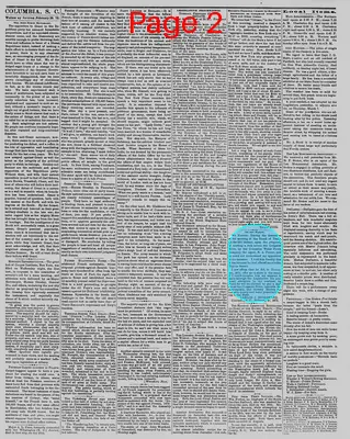 Page thumbnail for The Daily Phoenix