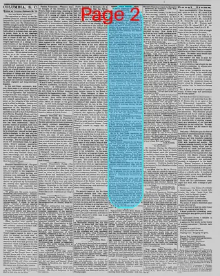 Page thumbnail for The Daily Phoenix