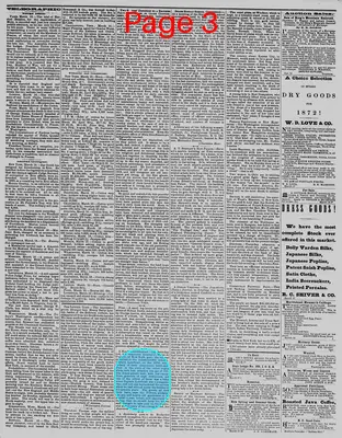 Page thumbnail for The Daily Phoenix
