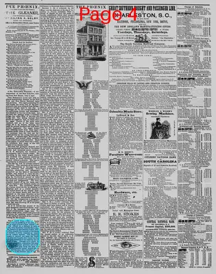 Page thumbnail for The Daily Phoenix