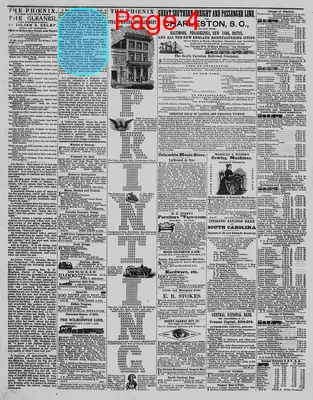 Page thumbnail for The Daily Phoenix