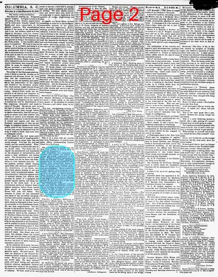 Page thumbnail for The Daily Phoenix