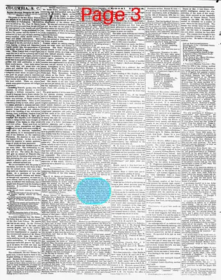 Page thumbnail for The Daily Phoenix