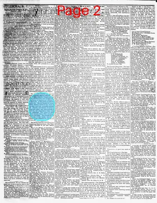 Page thumbnail for The Daily Phoenix