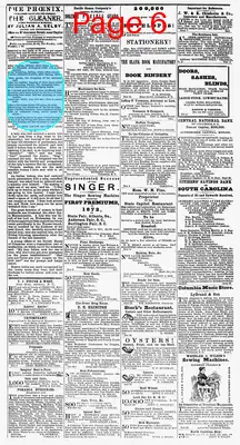 Page thumbnail for The Daily Phoenix