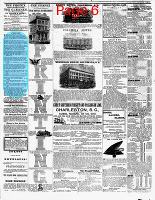 Page thumbnail for The Daily Phoenix
