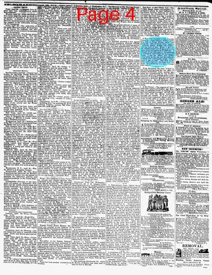 Page thumbnail for The Daily Phoenix