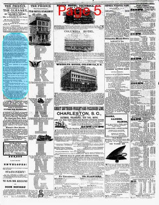 Page thumbnail for The Daily Phoenix
