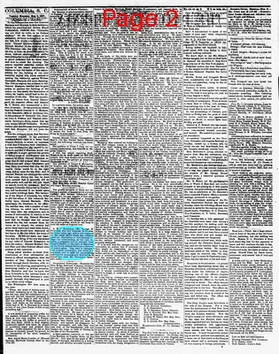 Page thumbnail for The Daily Phoenix