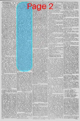 Page thumbnail for The Daily Phoenix