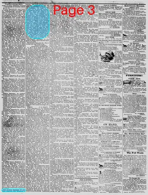 Page thumbnail for The Daily Phoenix