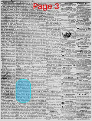 Page thumbnail for The Daily Phoenix
