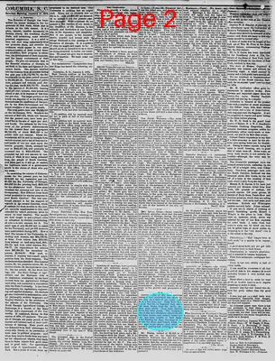 Page thumbnail for The Daily Phoenix