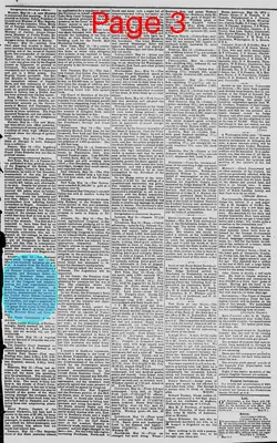 Page thumbnail for The Daily Phoenix