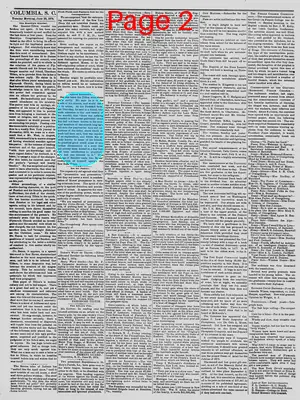 Page thumbnail for The Daily Phoenix