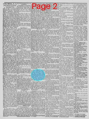 Page thumbnail for The Daily Phoenix