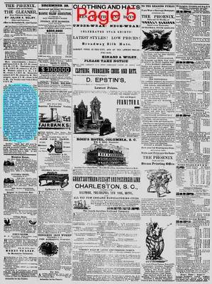 Page thumbnail for The Daily Phoenix