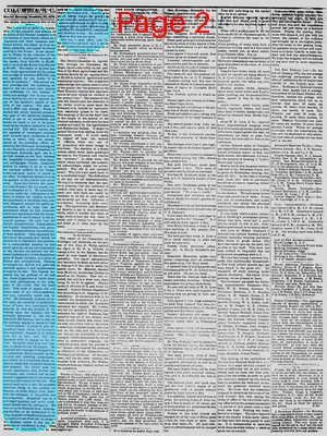 Page thumbnail for The Daily Phoenix