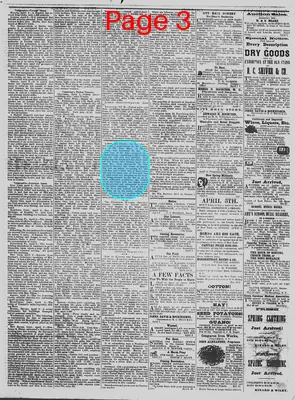 Page thumbnail for The Daily Phoenix