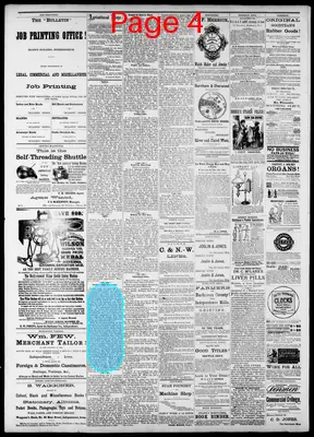 Page thumbnail for Buchanan County Bulletin