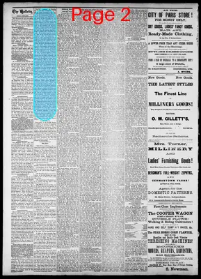 Page thumbnail for Buchanan County Bulletin