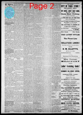 Page thumbnail for Buchanan County Bulletin