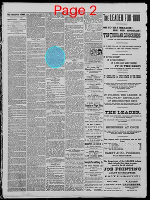 Page thumbnail for The Indianapolis Leader
