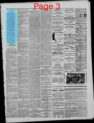 Page thumbnail for The Indianapolis Leader