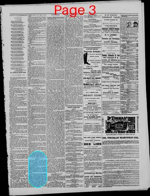 Page thumbnail for The Indianapolis Leader