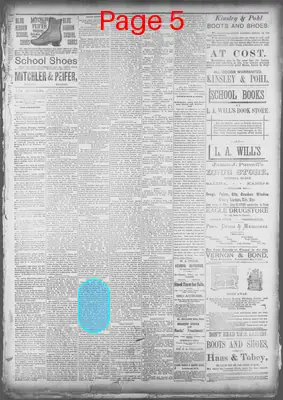 Page thumbnail for The Saline County Journal