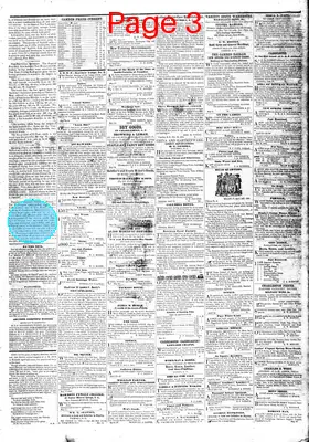 Page thumbnail for The Camden Weekly Journal