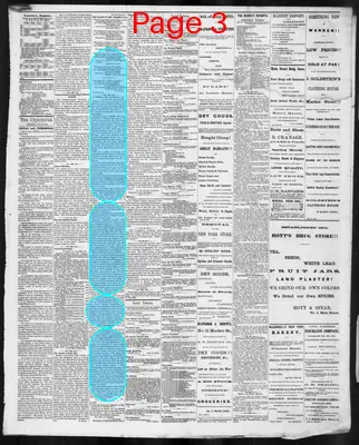 Page thumbnail for Western Reserve Chronicle