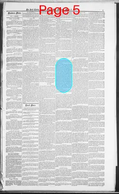 Page thumbnail for The Stark County Democrat