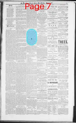 Page thumbnail for The Stark County Democrat