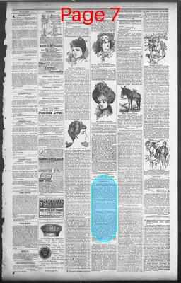 Page thumbnail for The Stark County Democrat