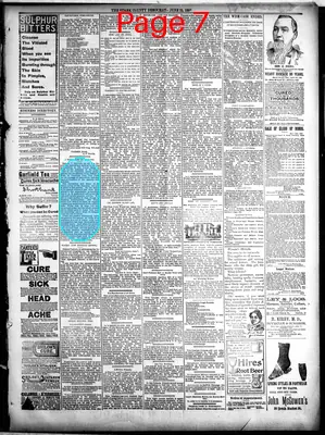 Page thumbnail for The Stark County Democrat