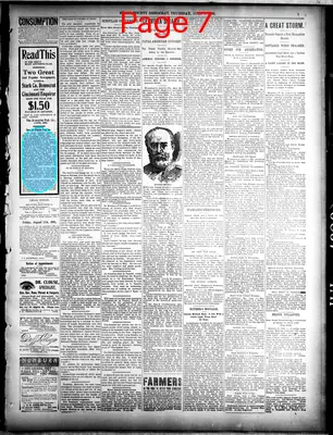 Page thumbnail for The Stark County Democrat