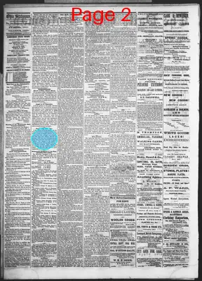 Page thumbnail for Daily Ohio Statesman