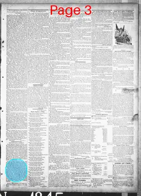 Page thumbnail for The Cadiz Sentinel