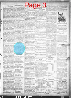 Page thumbnail for The Cadiz Sentinel