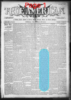 Page thumbnail for True American