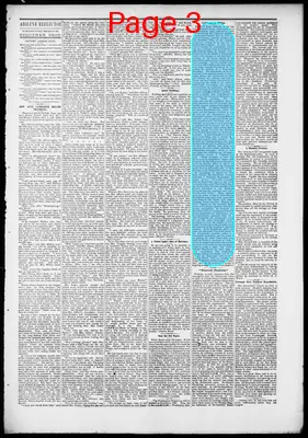Page thumbnail for The Abilene Reflector