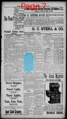 Page thumbnail for Abilene Weekly Reflector