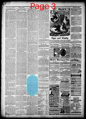Page thumbnail for Dodge City Times