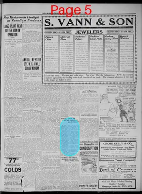 Page thumbnail for Albuquerque Morning Journal