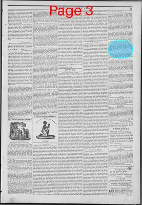 Page thumbnail for The Liberator