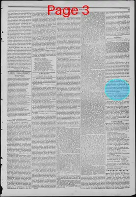 Page thumbnail for The Liberator