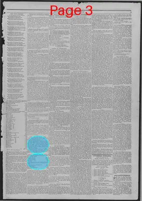 Page thumbnail for The Liberator