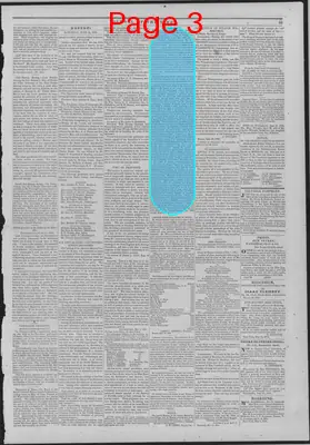 Page thumbnail for The Liberator